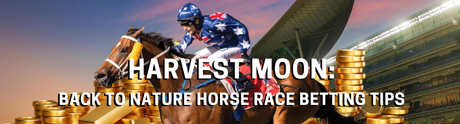 Harvest Moon Back to Nature Horse Race Betting Tips